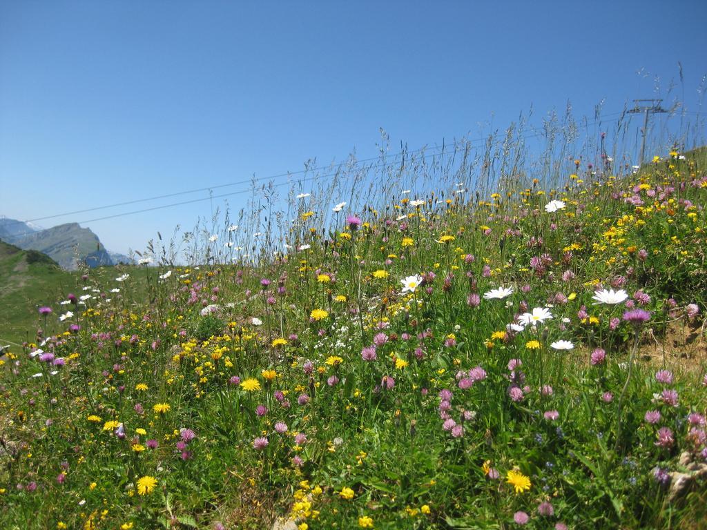 Haus Sonnseite Hotell Au (Vorarlberg) Exteriör bild